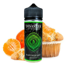 Disaster - Earthquake